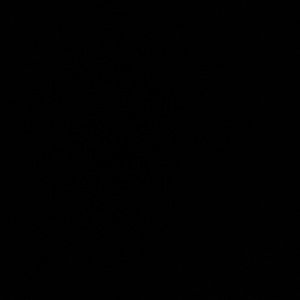 Meet your Posher, Zoe